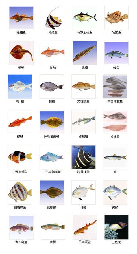 魚有幾種|海水魚